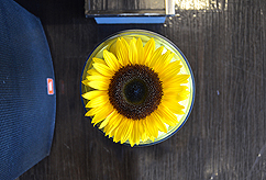 KASSAPALOOZA FEATURING HIT EXPLOSION